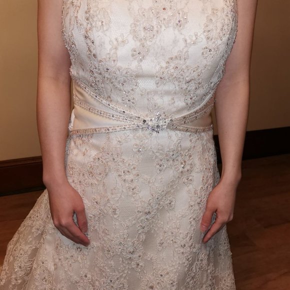 Alfred Sung Wedding Dress Size 4 - Picture 4 of 11